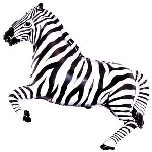 zebra-shargel.by_.jpg